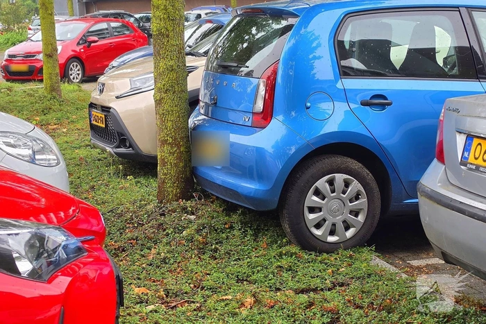 Oudere dame verliest controle over auto