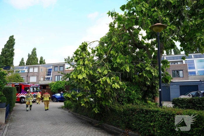 Brandweer verwijdert grote afgebroken tak
