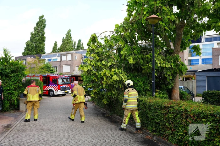 Brandweer verwijdert grote afgebroken tak