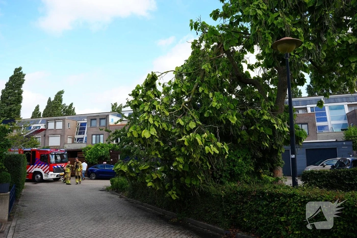 Brandweer verwijdert grote afgebroken tak