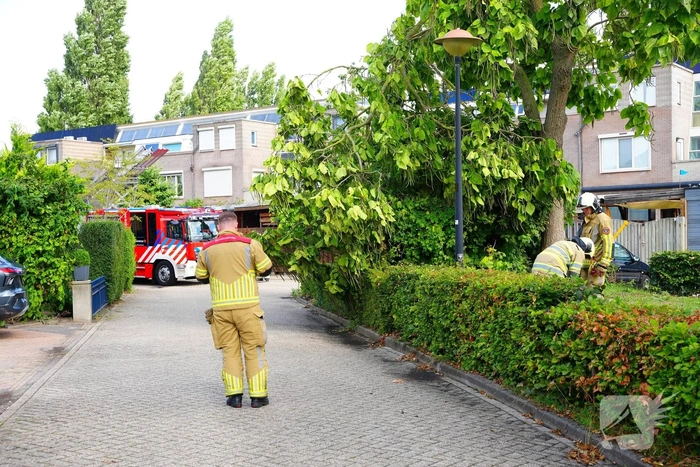Brandweer verwijdert grote afgebroken tak