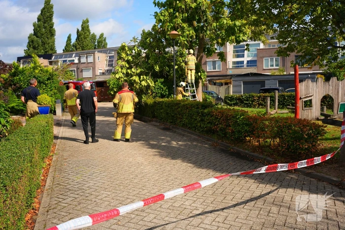 Brandweer verwijdert grote afgebroken tak