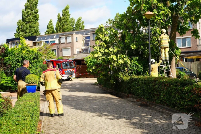 Brandweer verwijdert grote afgebroken tak