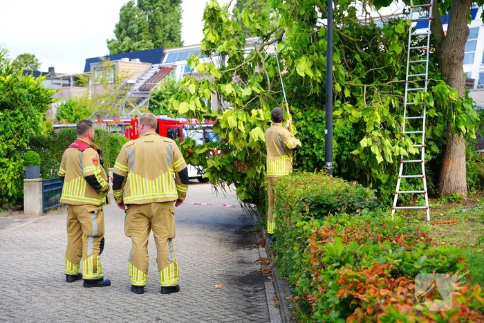 Brandweer verwijdert grote afgebroken tak