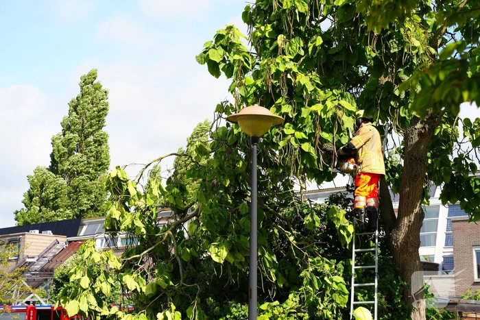 Brandweer verwijdert grote afgebroken tak