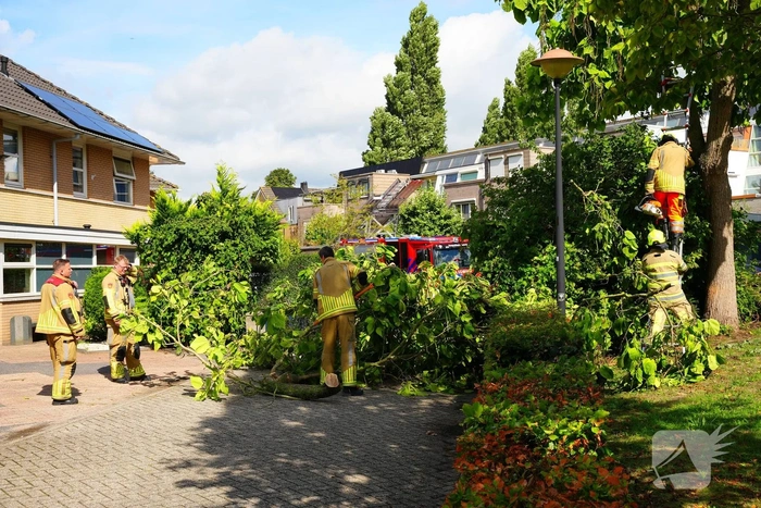 Brandweer verwijdert grote afgebroken tak