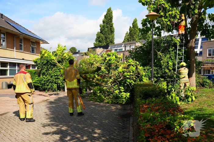 Brandweer verwijdert grote afgebroken tak