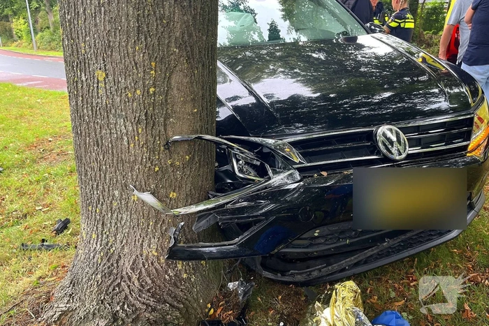 Auto tegen boom