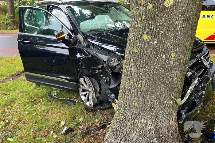 Auto tegen boom