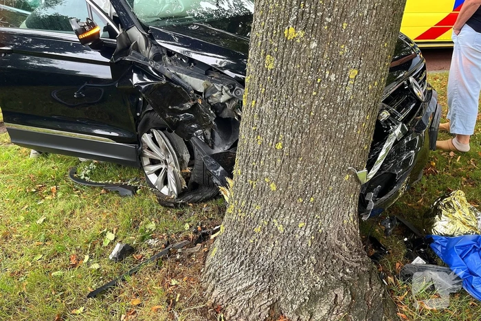 Auto tegen boom
