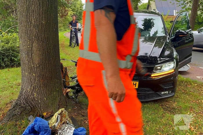 Auto tegen boom