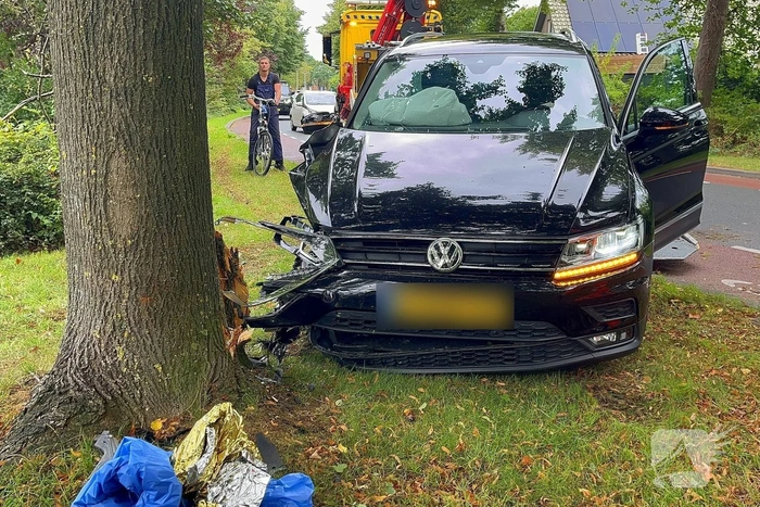 Auto tegen boom