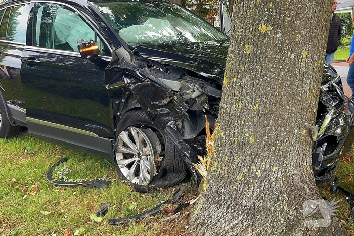 Auto tegen boom