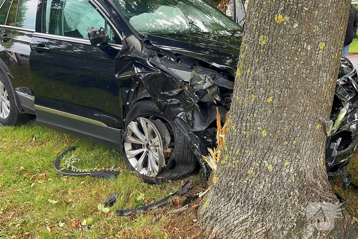 Auto tegen boom