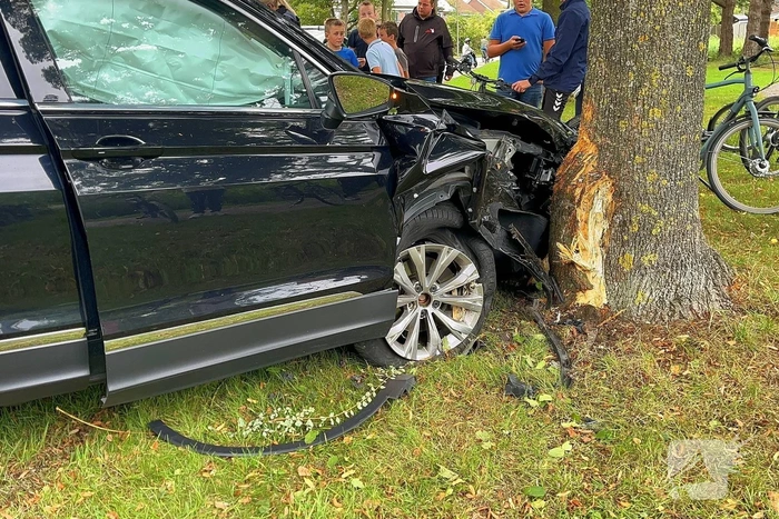 Auto tegen boom