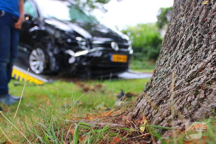 Auto tegen boom