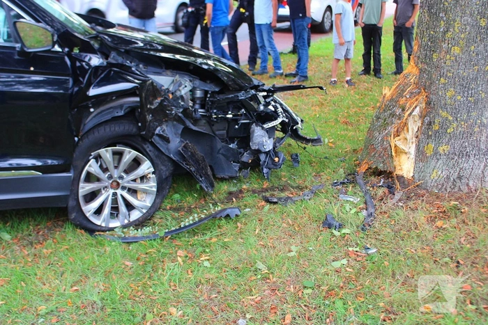 Auto tegen boom
