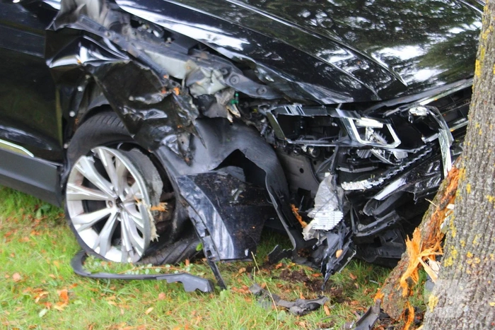 Auto tegen boom