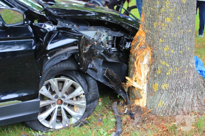 Auto tegen boom