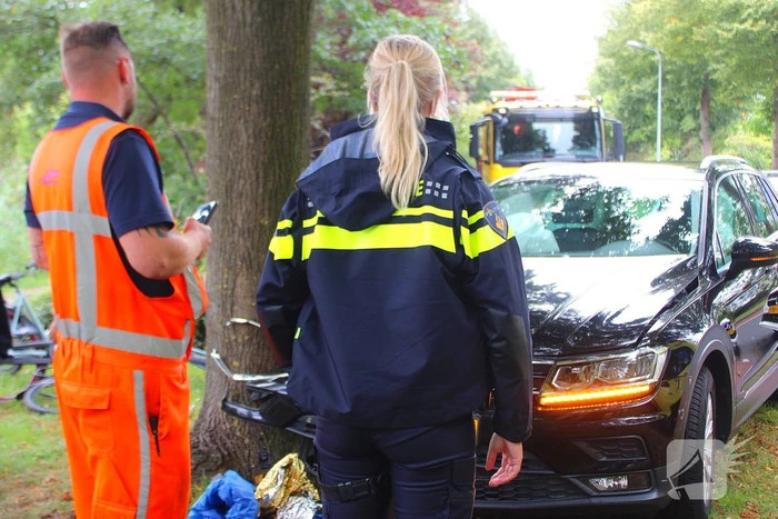Auto tegen boom