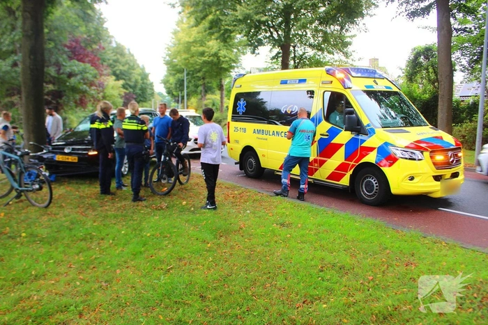 Auto tegen boom
