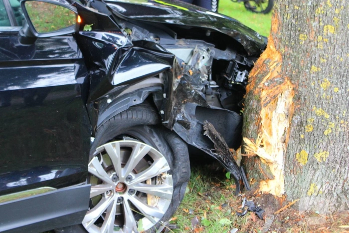 Auto tegen boom
