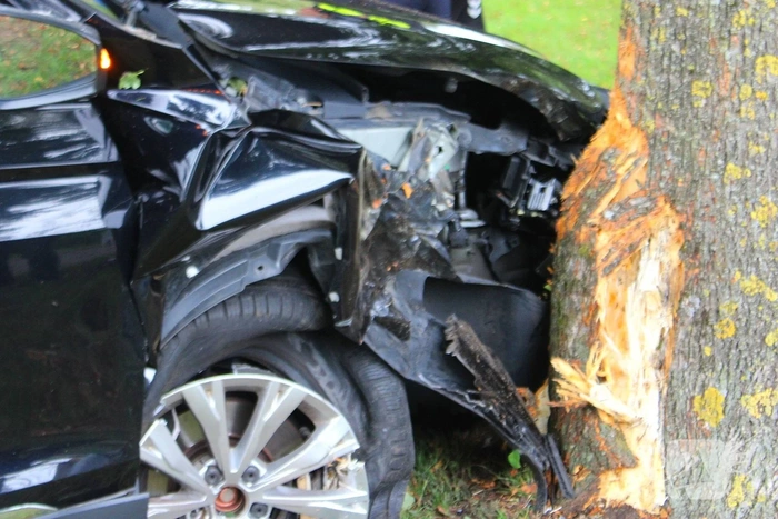 Auto tegen boom