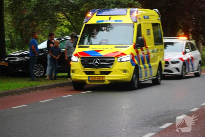 Auto tegen boom