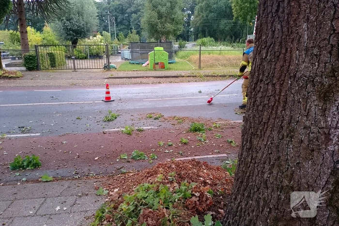 Afgebroken boomtak blokkeert weg