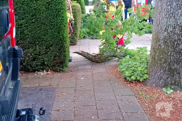 Afgebroken boomtak blokkeert weg