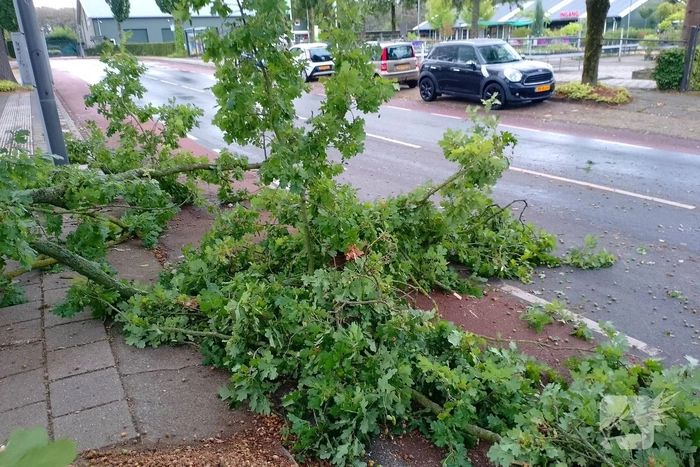 Afgebroken boomtak blokkeert weg
