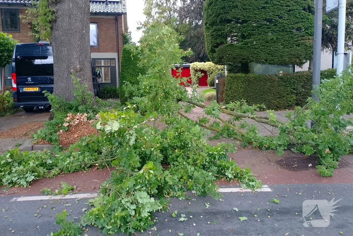 Afgebroken boomtak blokkeert weg