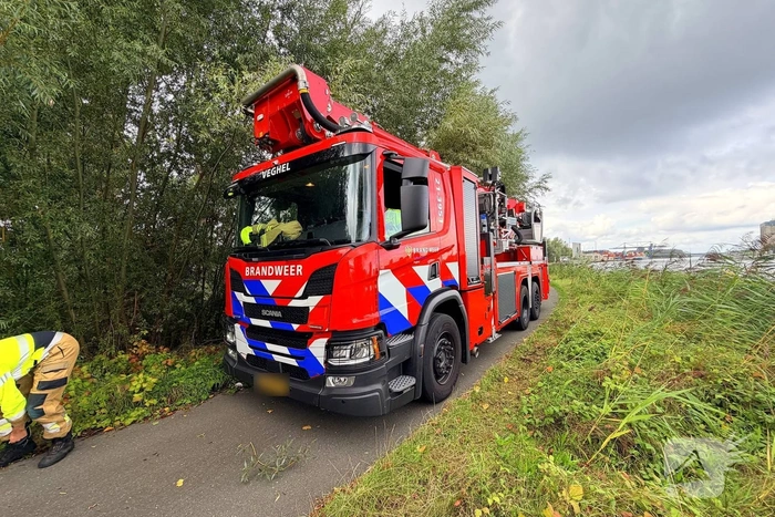 Man springt in kanaal achter hond