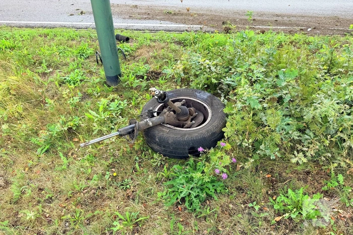 Bestelbus botst tegen bomen en bestuurder raakt gewond