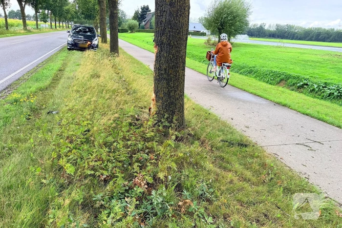 Bestelbus botst tegen bomen en bestuurder raakt gewond
