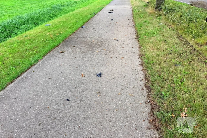 Bestelbus botst tegen bomen en bestuurder raakt gewond