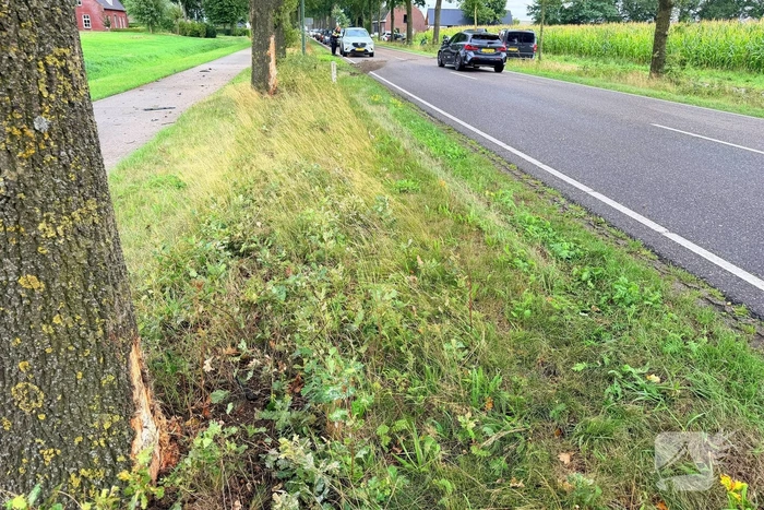 Bestelbus botst tegen bomen en bestuurder raakt gewond