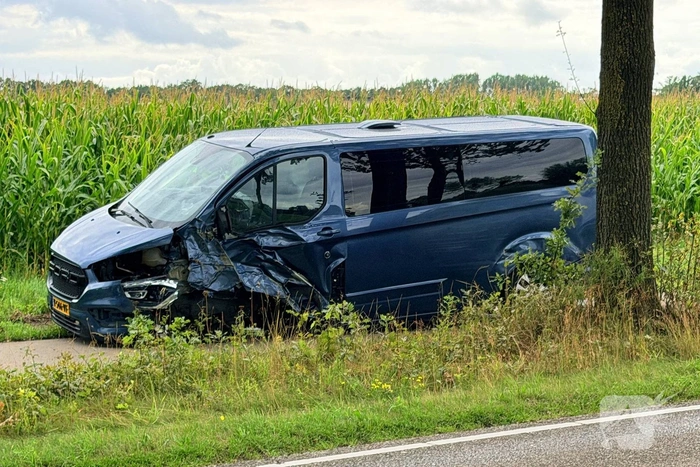Bestelbus botst tegen bomen en bestuurder raakt gewond