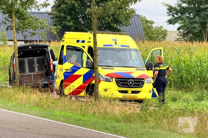 Bestelbus botst tegen bomen en bestuurder raakt gewond