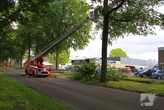 Grote tak valt uit boom en blokkeert toegang bedrijf
