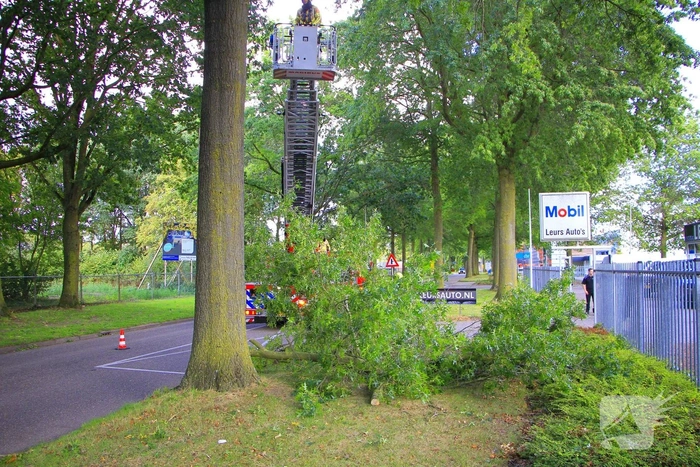 Grote tak valt uit boom en blokkeert toegang bedrijf