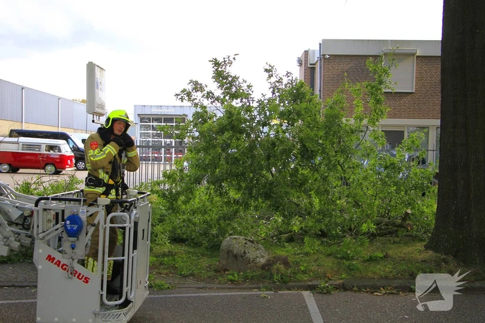 Grote tak valt uit boom en blokkeert toegang bedrijf