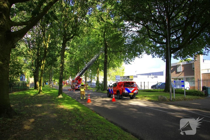 Grote tak valt uit boom en blokkeert toegang bedrijf