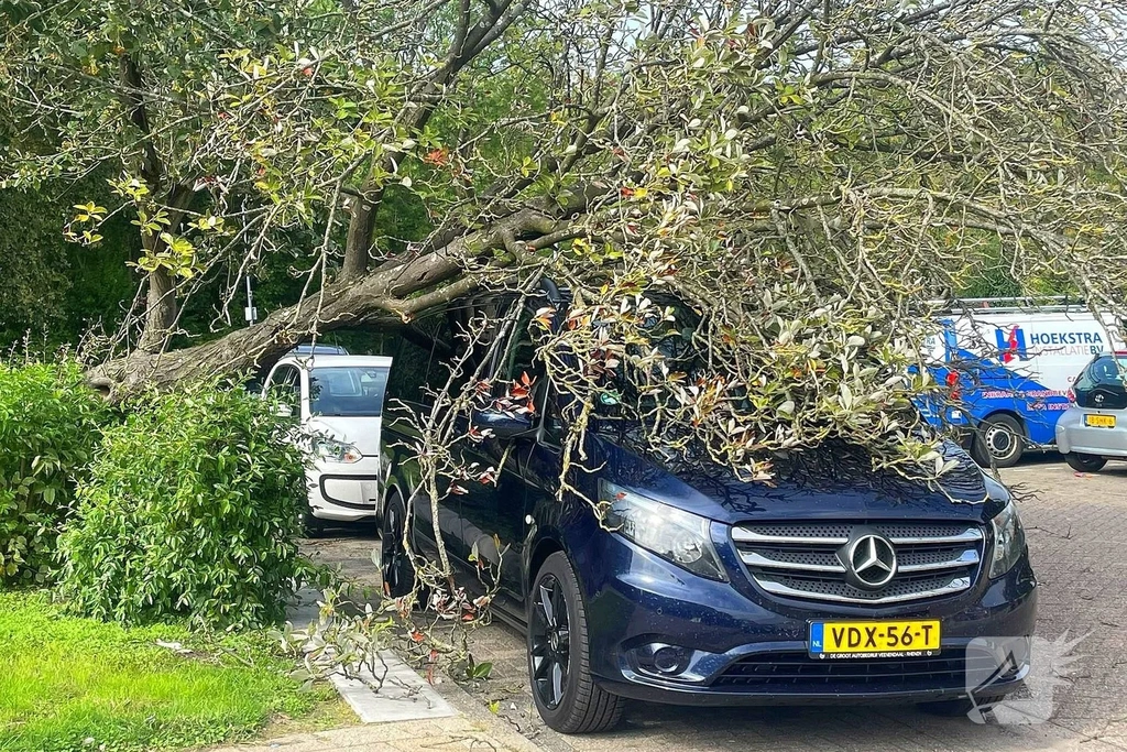 Schelpenhoek Nieuws Urk 