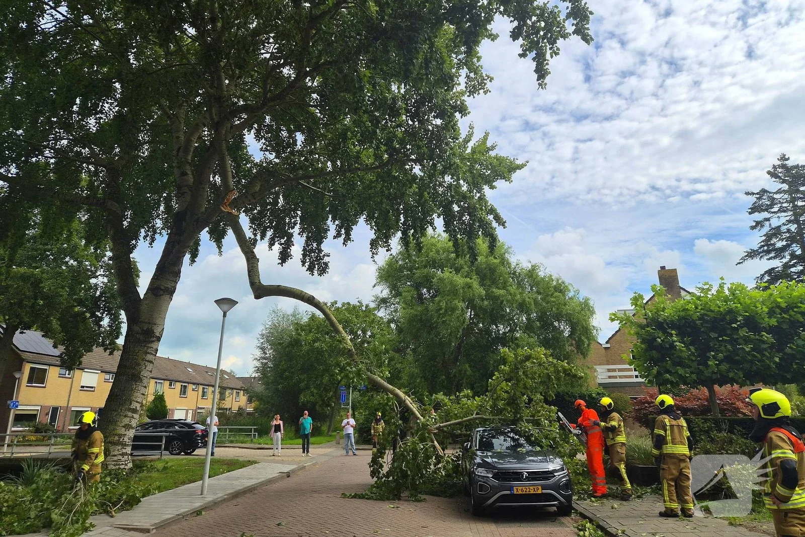 Grote tak belandt op personenauto