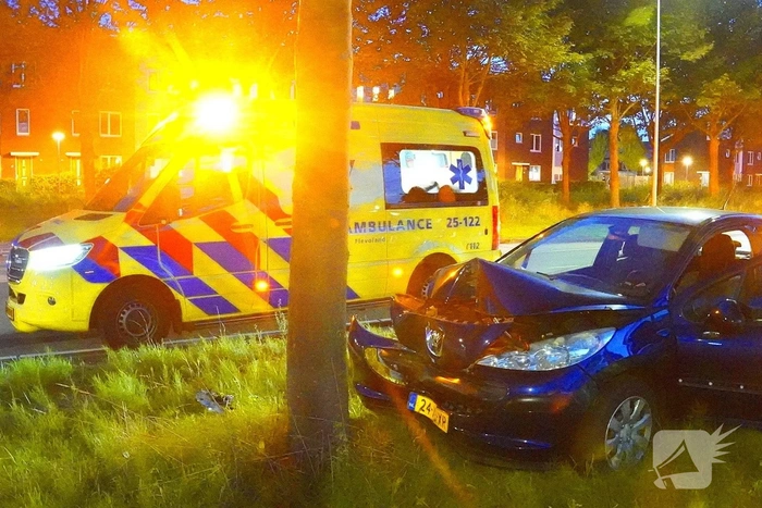 Bestuurder onder invloed botst tegen boom