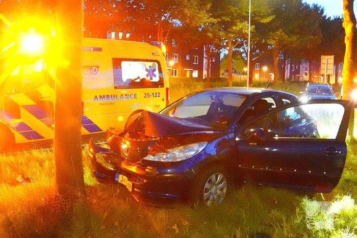 Bestuurder onder invloed botst tegen boom