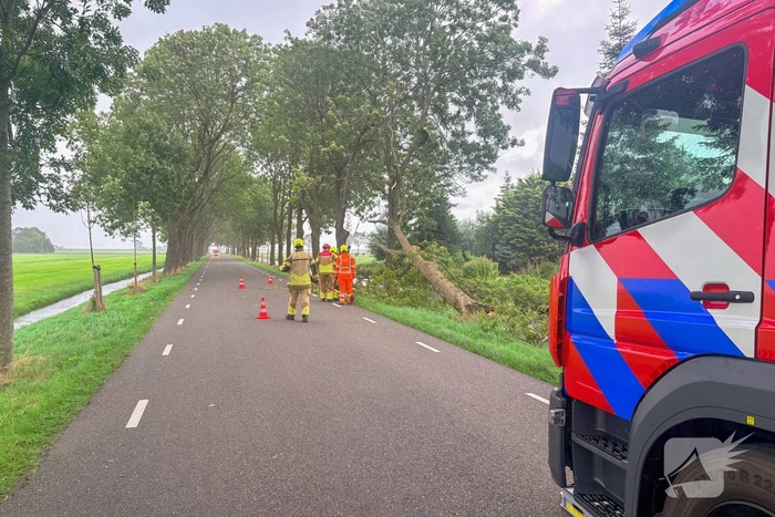 natuur lokkemientjeweg edam