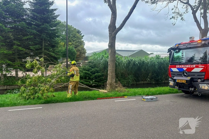 Omgevallen boom zorgt voor hinder