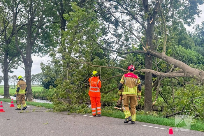Omgevallen boom zorgt voor hinder